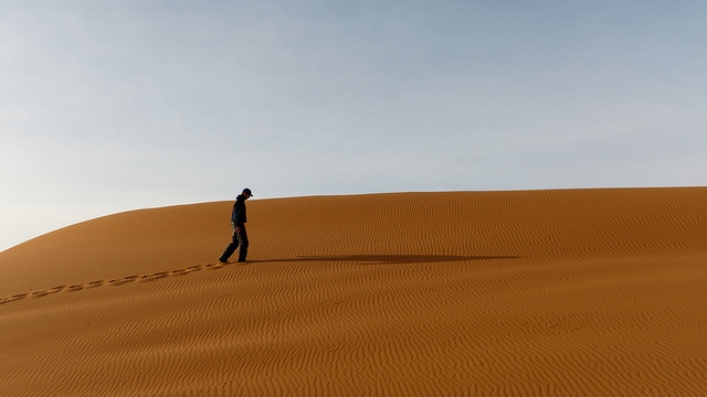 12 последствия от ходене в пустинята 40 години