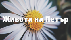 Живота на Петър